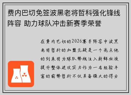 费内巴切免签波黑老将哲科强化锋线阵容 助力球队冲击新赛季荣誉